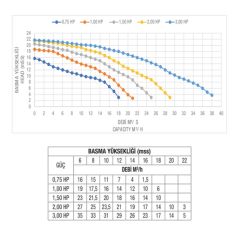 Atlaspool Best Model 1 HP Monofaze Havuz Pompası
