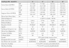 Newtherm Poolvario We Havuz Isı Pompası 21 kW